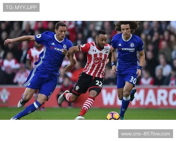 球员多次转会背后因素剖析，球队文化适配性成关键